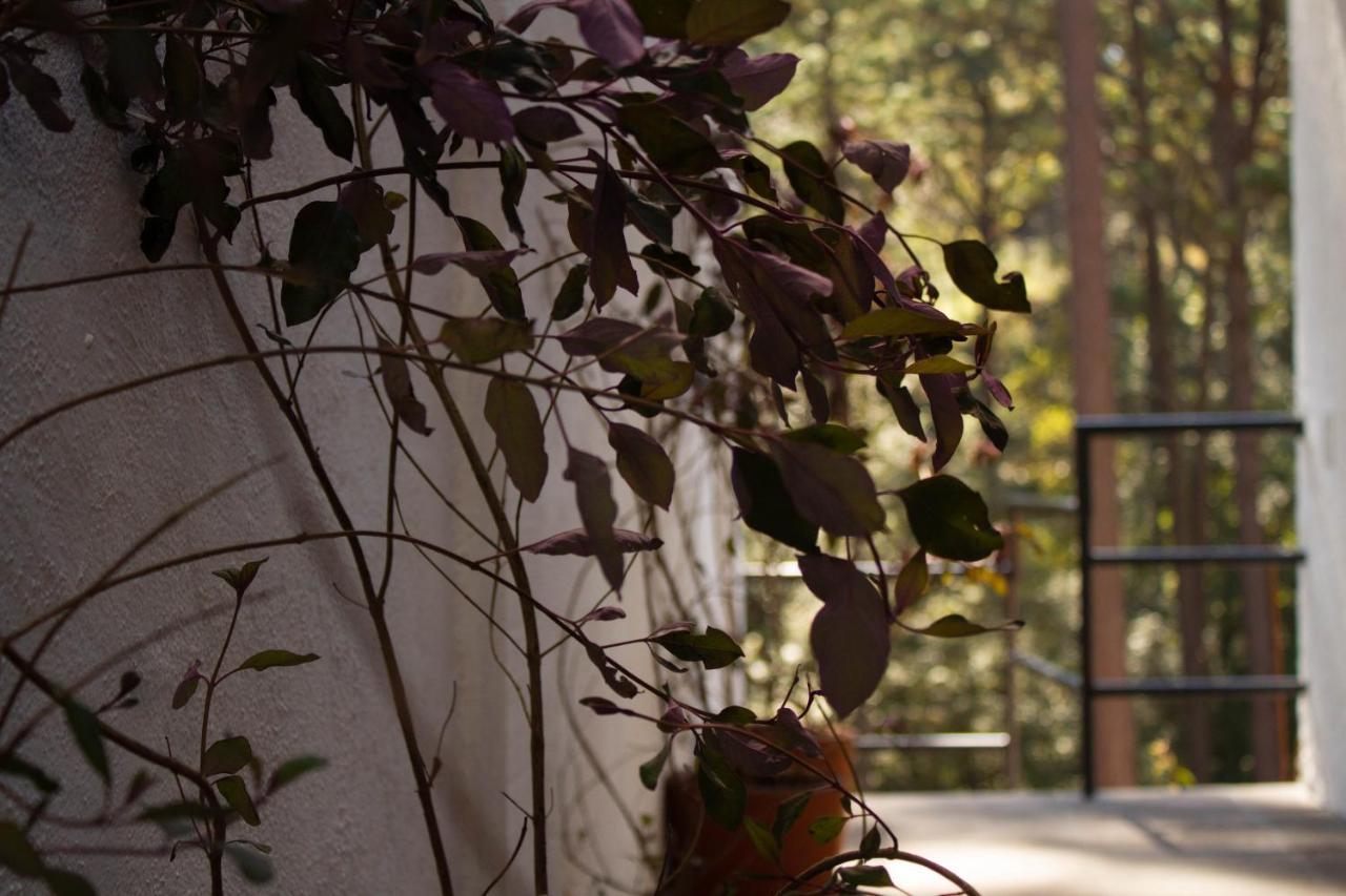 Encino House Villa Valle de Bravo Exterior foto